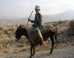 ילד על חמורו בירידה לנחל
