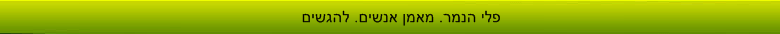 פלי הנמר מאמן אנשים
