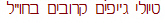 טיולי ג'יפים  קרובים בחו"ל