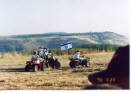 עגלות מקושטות