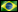 Portuguese